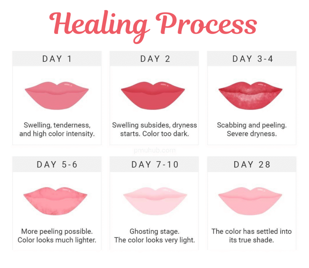 Lip Blush in Gurgaon Before and After healing process lip blushing permanent makeup in gurgaon brows and beyond by sonali